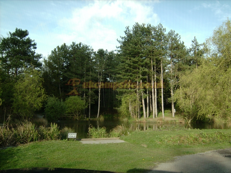 Alderwood Ponds Fishery