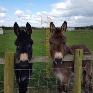Clapham Holme Farm Certificated Location