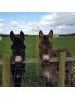 Clapham Holme Farm Certificated Location