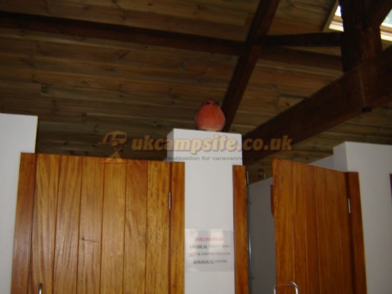 Combas Farm Campsite