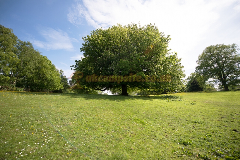Sherwood Forest Holiday Park