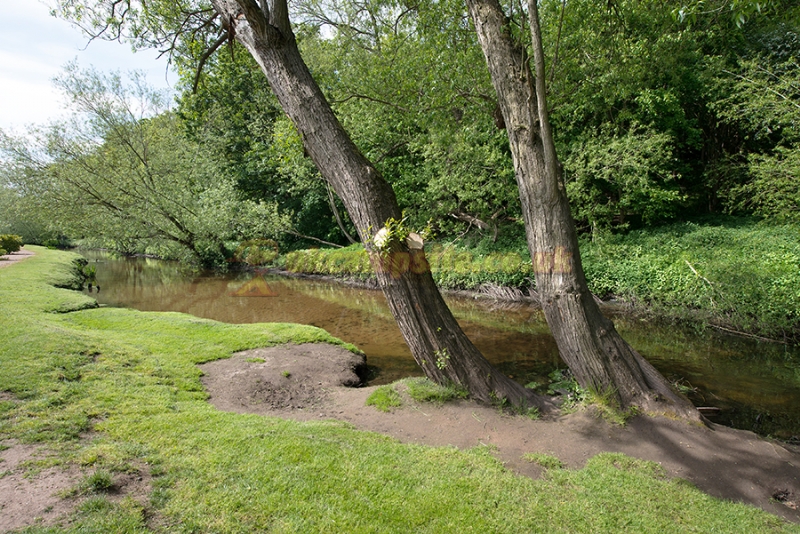 Sherwood Forest Holiday Park