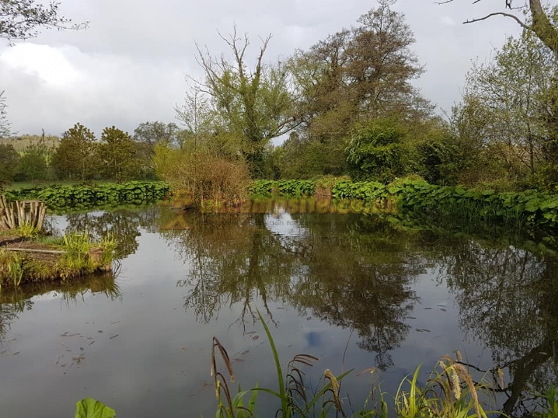 The Fishponds Touring Site