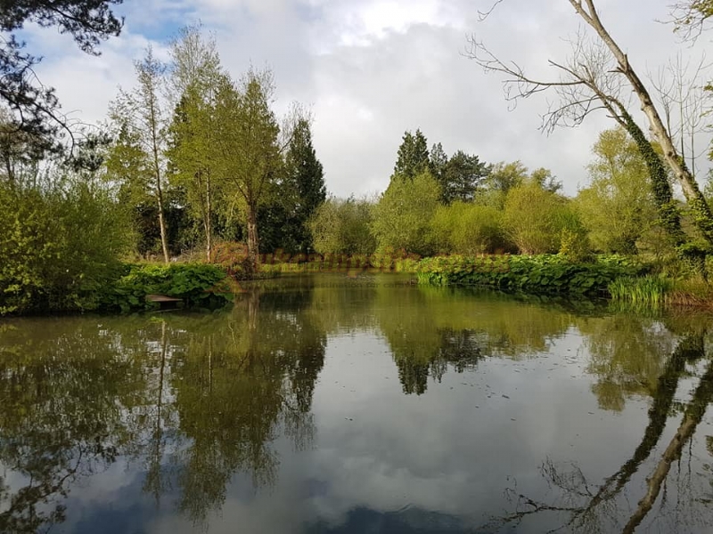 The Fishponds Touring Site