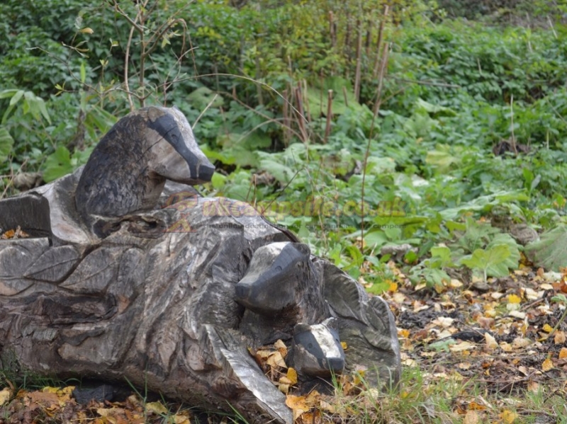 The Fishponds Touring Site