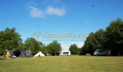 Camping La Foret De Tesse