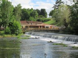 Camping La Foret De Tesse
