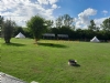 Strictly Camping Woodlands Farm