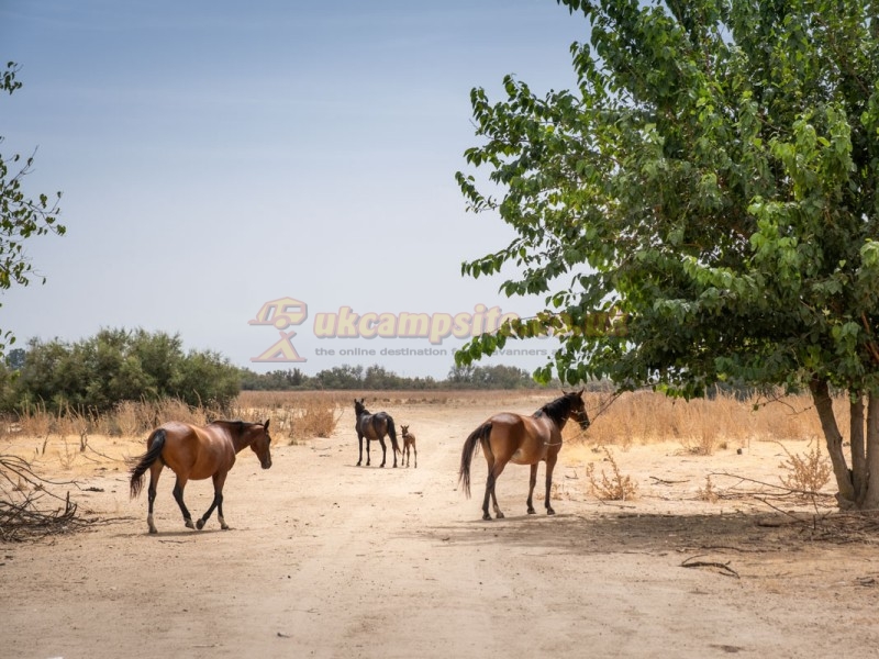 Camping Huttopia Parque De Donana
