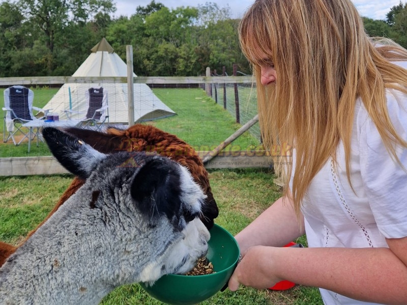 Seven Acre Farm Campsite