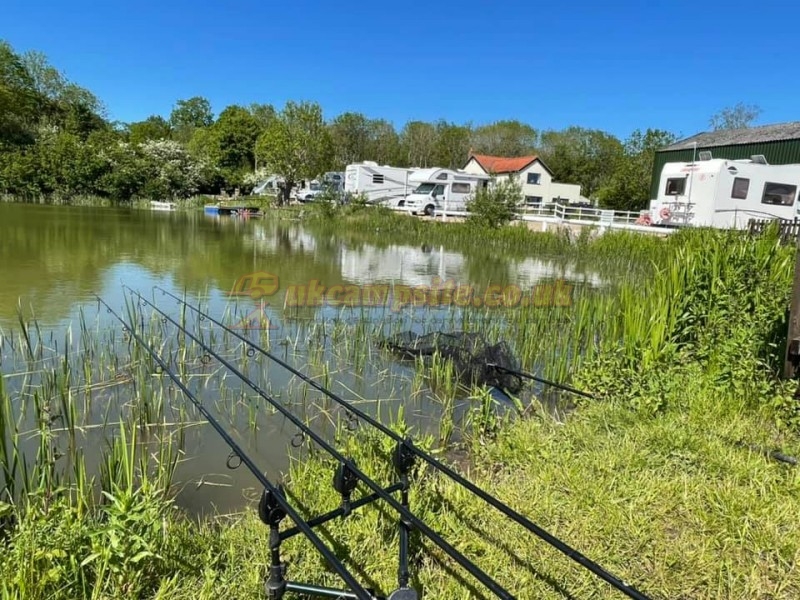 Seven Acre Farm Campsite