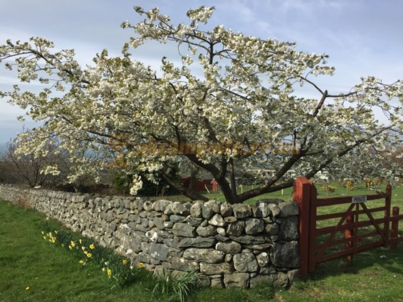 Bellaport Caravan Park