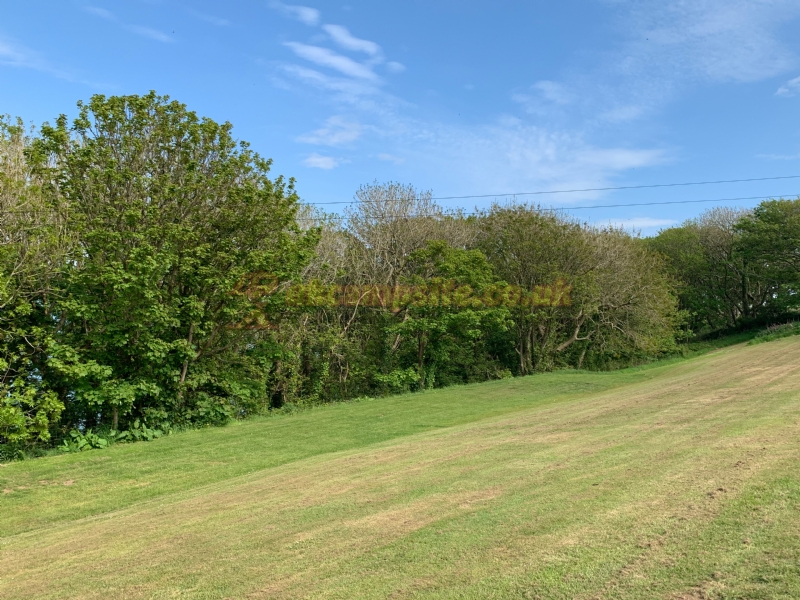 Point Farm Campsite