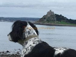 Sea View Camping At Dropped Anchor