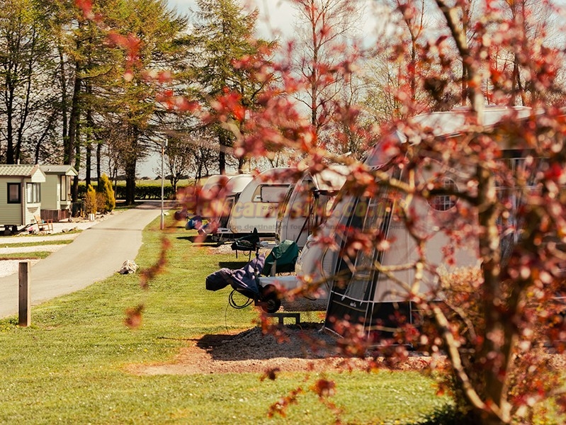 Newhaven Holiday Park (PHolsUK)