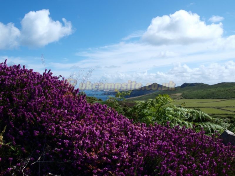 Dunes At Whitesands