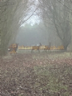 Halfway House Caravan Site