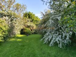 Halfway House Caravan Site