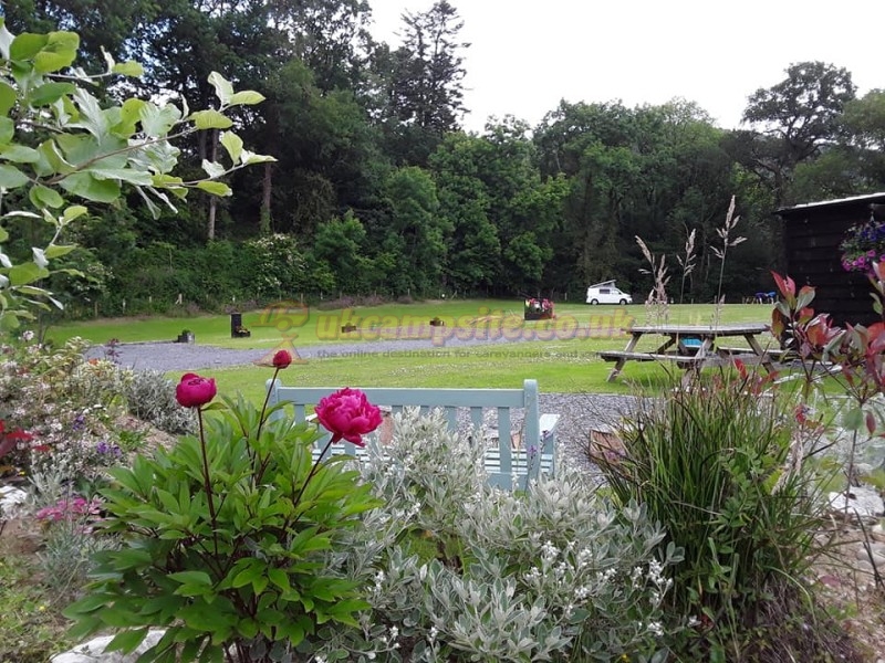 Dolau Afon Camping
