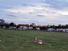 Cool K9 Country Club Campsite