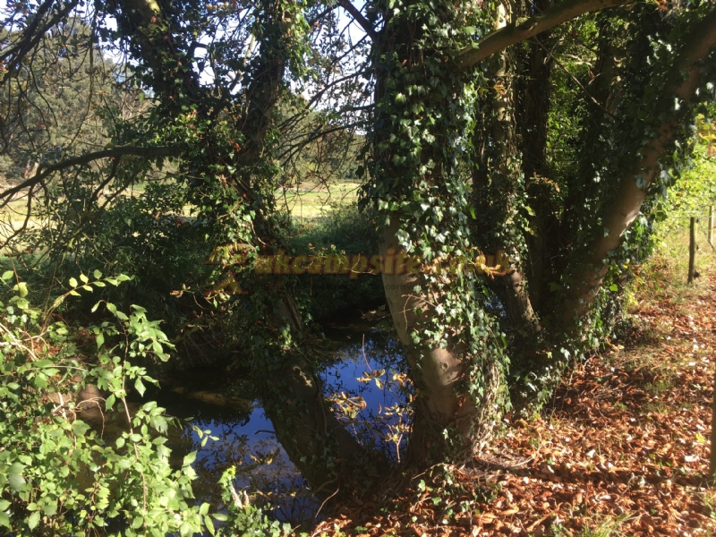 The Old Sun Certificated Site