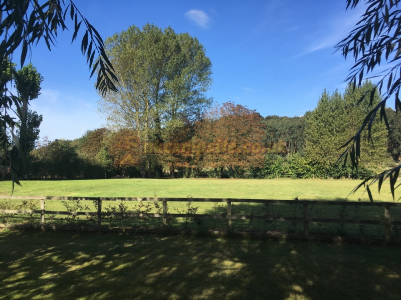 The Old Sun Certificated Site