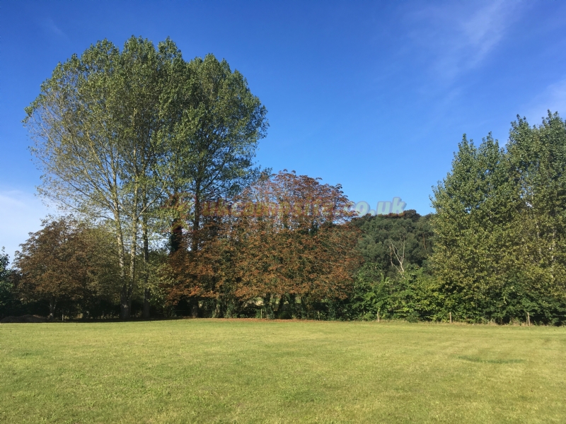 The Old Sun Certificated Site