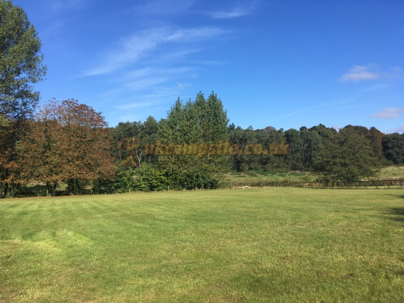 The Old Sun Certificated Site