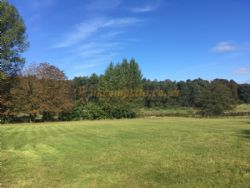 The Old Sun Certificated Site