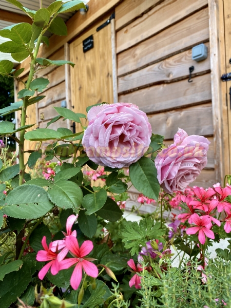 Upper Parsonage Farm