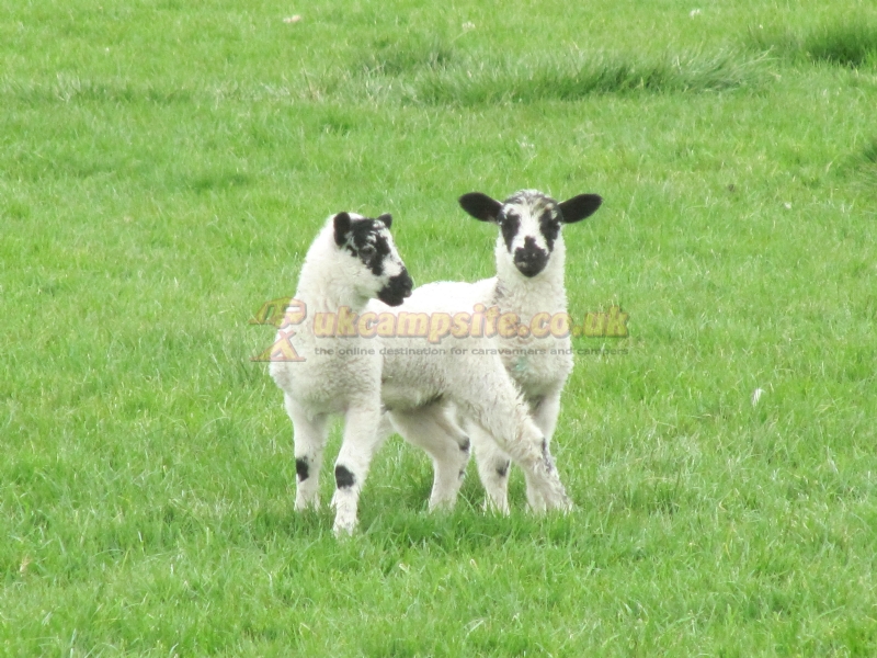 Oxen Close Farm Certificated Site
