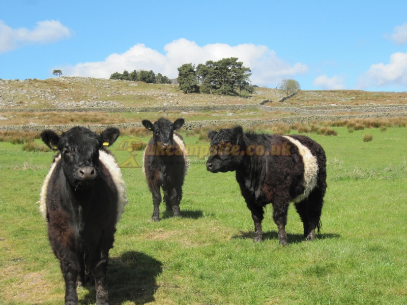 Oxen Close Farm Certificated Site