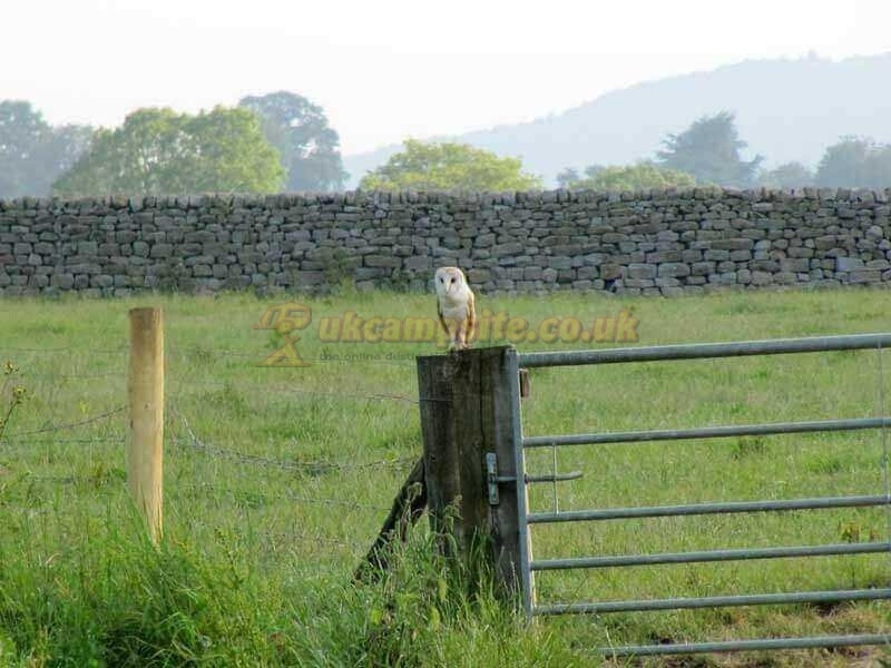 Oxen Close Farm Certificated Site