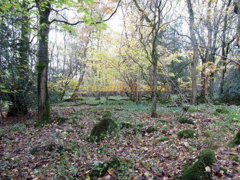 Oxen Close Farm Certificated Site