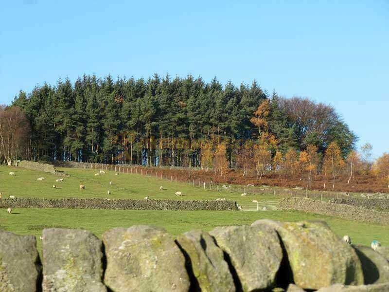 Oxen Close Farm Certificated Site