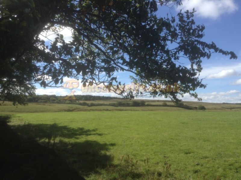 Bonners Lodge Caravan Park
