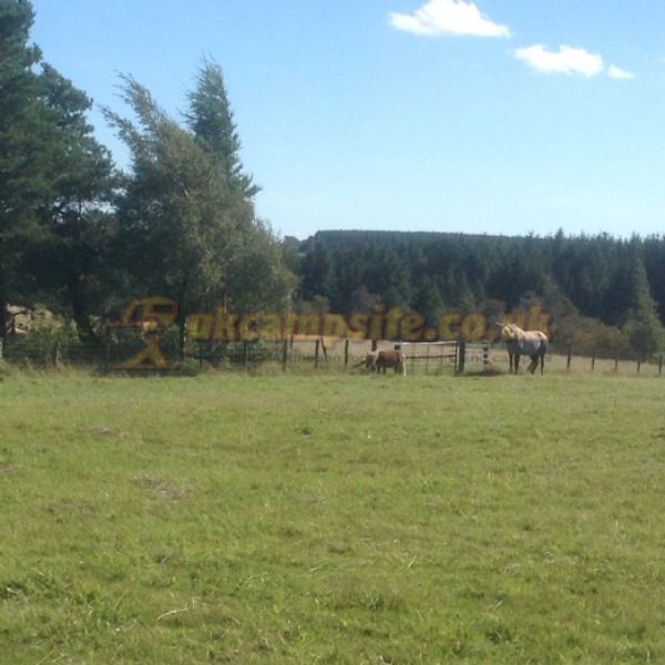 Bonners Lodge Caravan Park