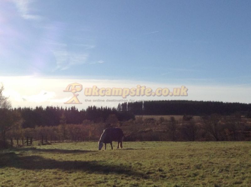 Bonners Lodge Caravan Park
