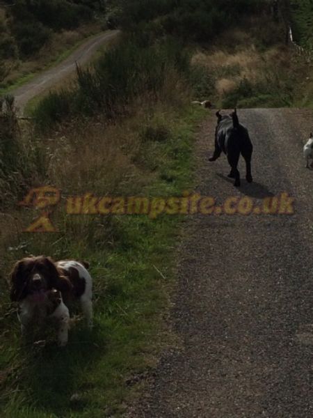 Bonners Lodge Caravan Park