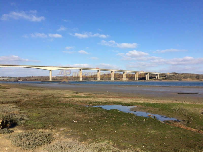 The Shotley Rose Pub And Campsite