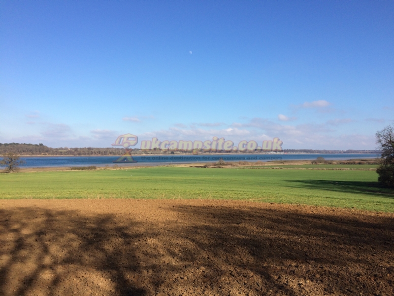The Shotley Rose Pub And Campsite