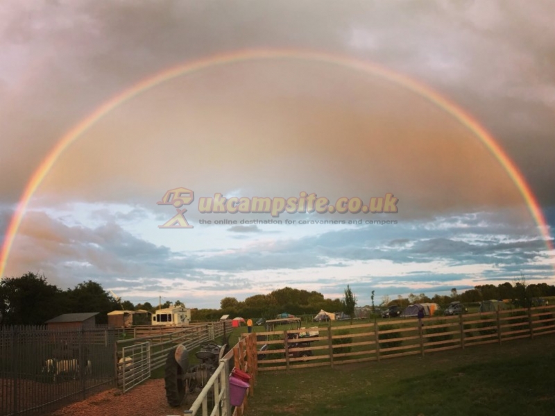 Springfield Farm Campsite
