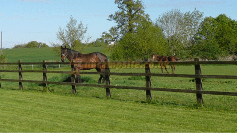 Southwick Farm Certificated Location