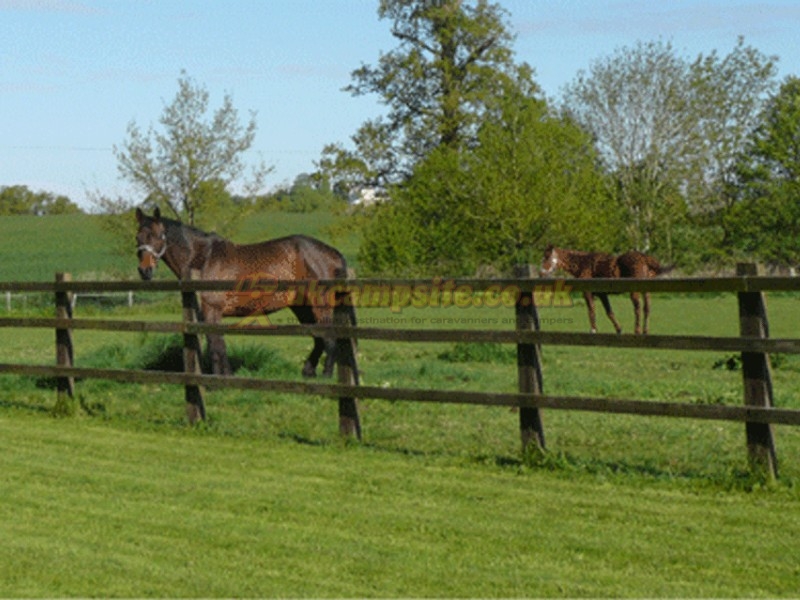 Southwick Farm Certificated Location