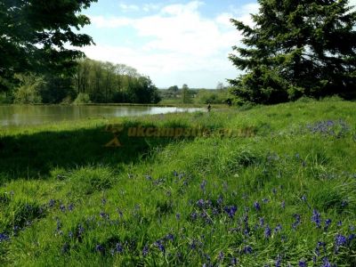Loynton Trout Fishery Certificated Location