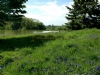 Loynton Trout Fishery Certificated Location