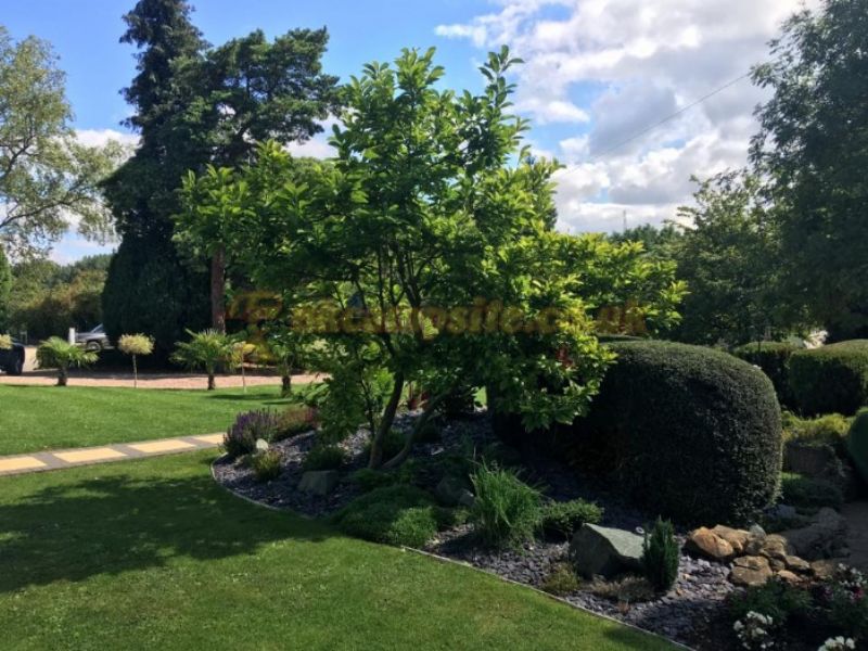 Mayfield Park