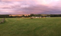 Mayfield Park