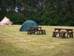 Low Hedgeley Caravan Site And Campsite