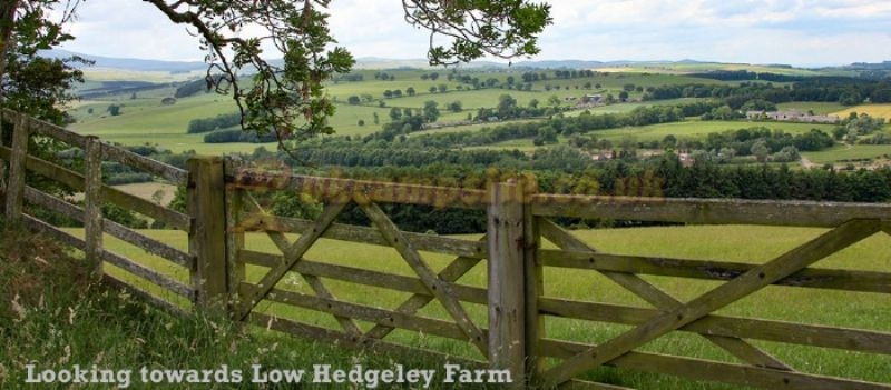 Low Hedgeley Caravan Site And Campsite